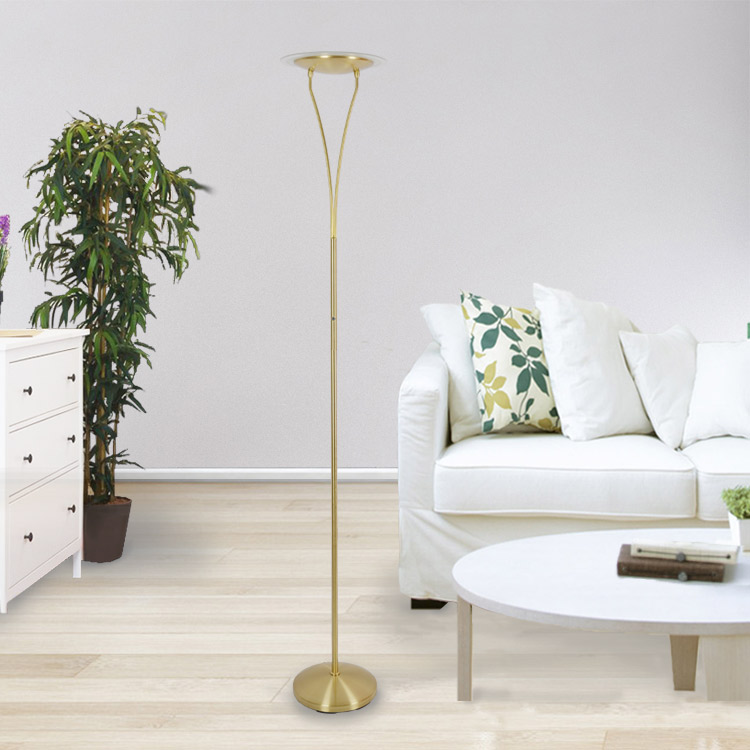 Decorative LED Single Pole Floor Lamp