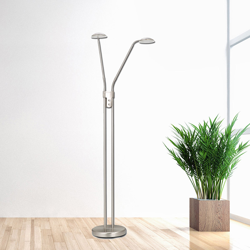 Double Head Ring Floor Lamp