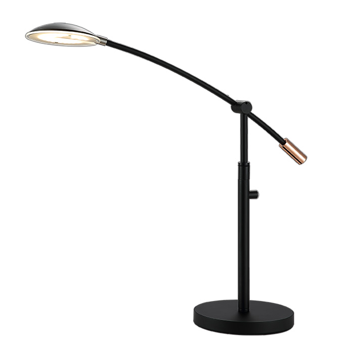 Adjustable Table Lamp